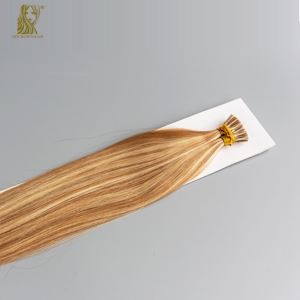 사전 보세 인간의 머리카락 확장